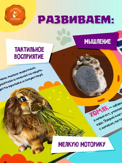 Мои питомцы - фото 6