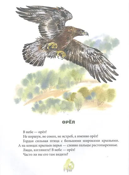 Хрустальная полынь - фото 4