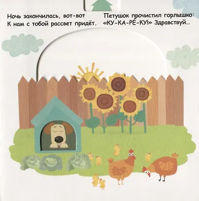 Утро, вечер, день и ночь - фото 5