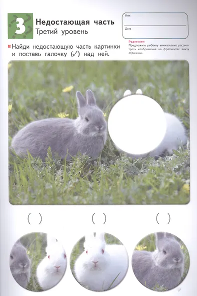 Развитие мышления. Пространственное мышление (от 5 лет) - фото 8