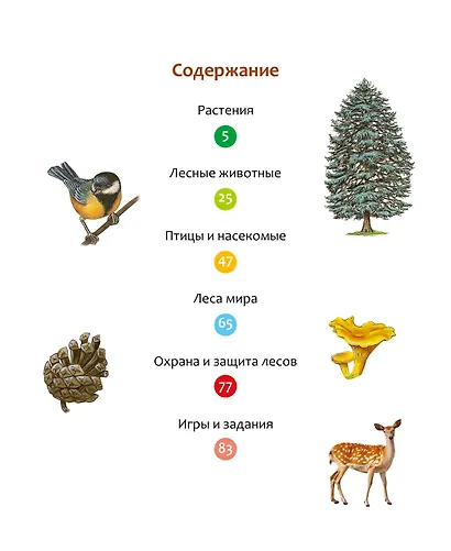 Жизнь леса - фото 10