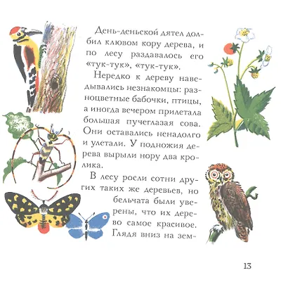 Бельчонок Сорванец - фото 4