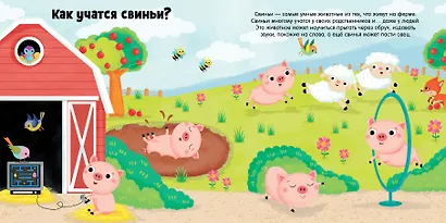 Животные и их малыши. Пора учиться! - фото 2