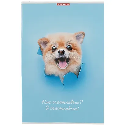 Тетрадь в клетку Academy Style, "Кто молодец?", А4, 80 листов - фото 1