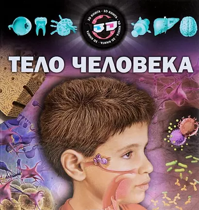 Тело человека Науч.-попул.изд (Кошелева) - фото 1