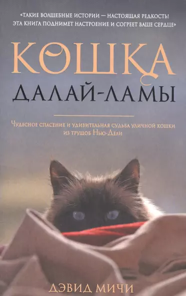 Кошка Далай-Ламы. Чудесное спасение и удивительная судьба уличной кошки из трущоб Нью-Дели - фото 1