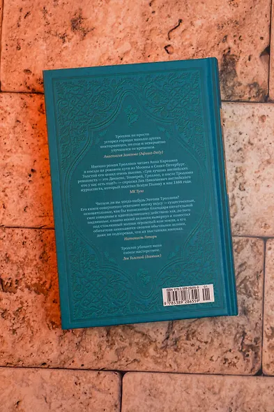 Барсетширские хроники. Книга 3. Фрамлейский приход - фото 15