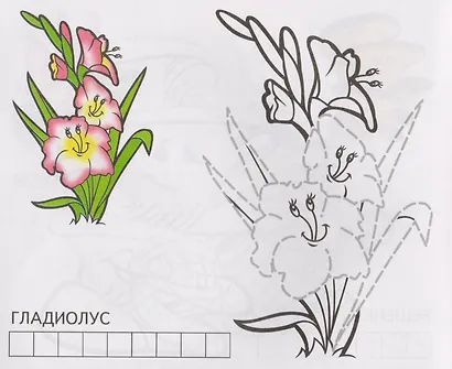 Белочка - фото 3