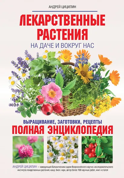 Лекарственные растения на даче и вокруг нас: полная энциклопедия - фото 1