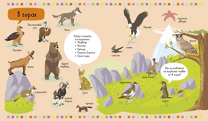 Главная книга малыша. Животные - фото 2