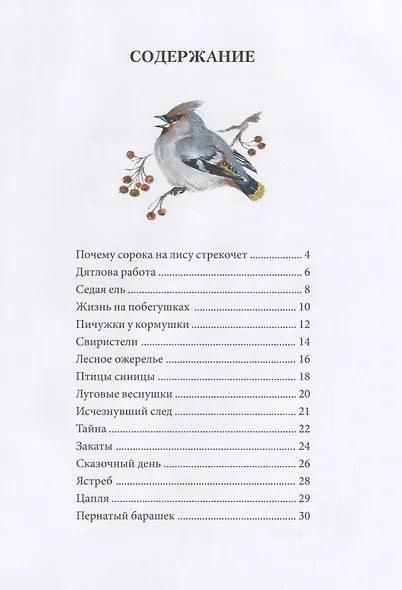 Лесное ожерелье. Рассказы о природе . Илл. Е. Чарушиной-Капустиной - фото 2