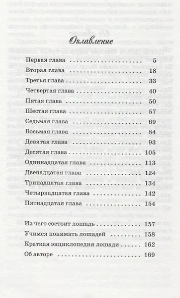 Винни-наездница. Часть 4. Полночная Загадка - фото 2