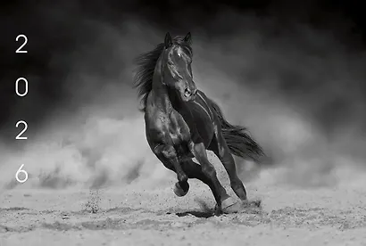 Календарь квартальный 2026г 305*680 "Вороная лошадь" настенный, трёхблочный, спираль - фото 5