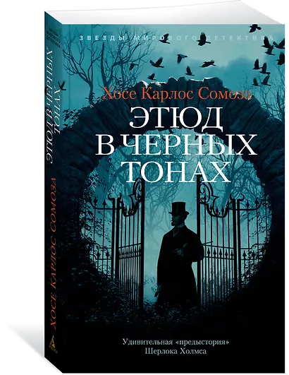 Этюд в черных тонах - фото 2