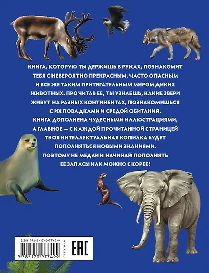 Животные - фото 2