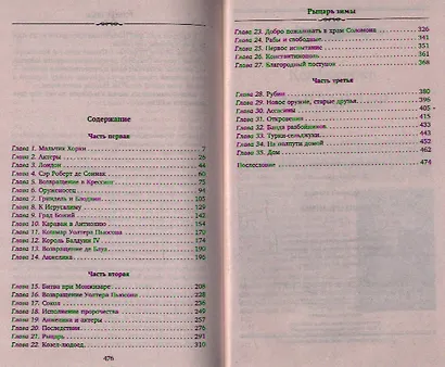 Рыцарь зимы - фото 2