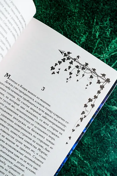 История Мелинды Джонс: Кровавый рейс - фото 8