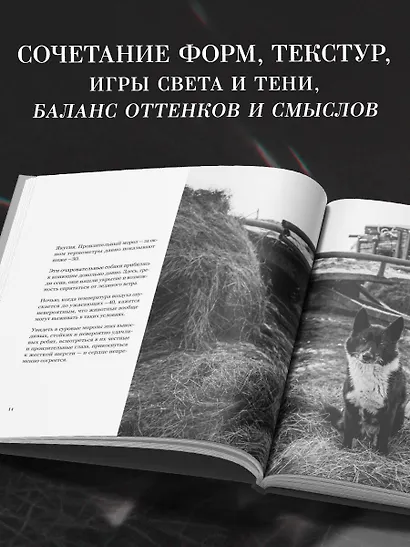 Монохром. Пронзительная красота России в черно-белых фотографиях Ивана Дементиевского - фото 6
