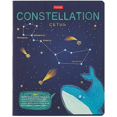 Тетрадь в клетку Hatber, "Приходи считать звезды", 48 листов, в ассортименте - фото 3