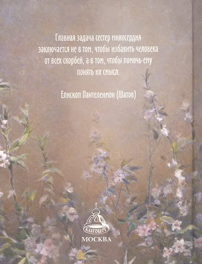 Спутник сестры милосердия - фото 2