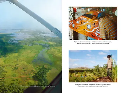 Невероятная одиссея человека: История о том, как мы заселили планету - фото 10