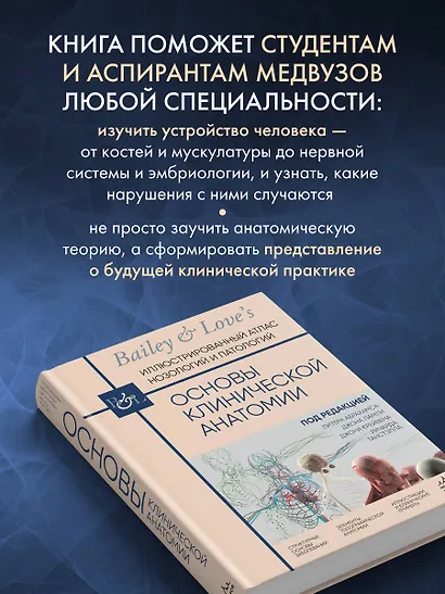 Основы клинической анатомии. Иллюстрированный атлас нозологий и патологий - фото 6