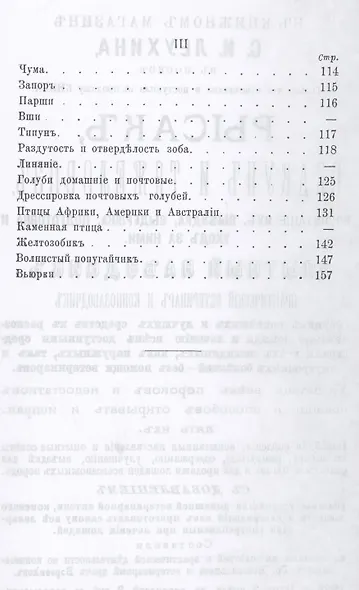 Охотник певчих птиц - фото 4