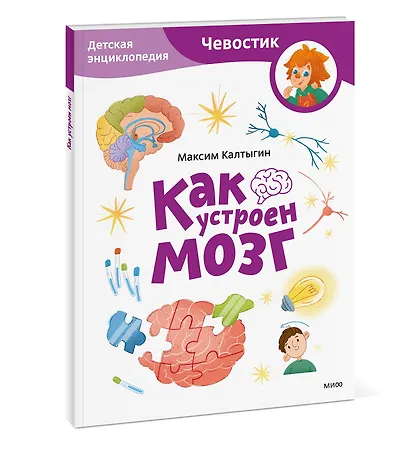 Как устроен мозг. Детская энциклопедия (Чевостик) (Paperback) - фото 3