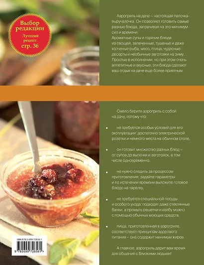 Аэрогриль на даче - фото 2