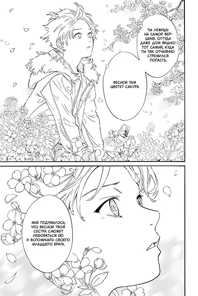 Бездомный бог. Том 26 (Noragami). Манга - фото 3