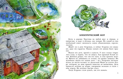 Кот в ведре. Рассказы о животных - фото 8