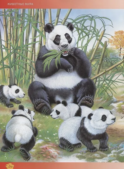 Животные мира.Энциклопедия для детей(МЕЛОВКА) - фото 6