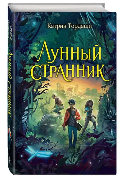 Лунный странник - фото 3