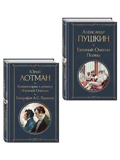 Расшифрованный Евгений Онегин (набор из 2 книг: Евгений Онегин, Комментарии к роману «Евгений Онегин». Биография А. С. Пушкина) - фото 3