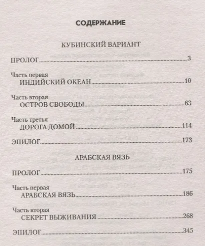 Арабская вязь - фото 2