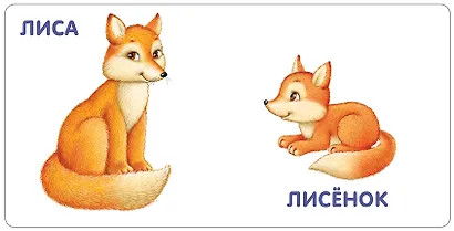 Книжки-картонки. Животные и детеныши - фото 3