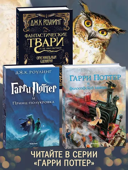 Гарри Поттер и Кубок Огня (Хуффльпуфф) - фото 6