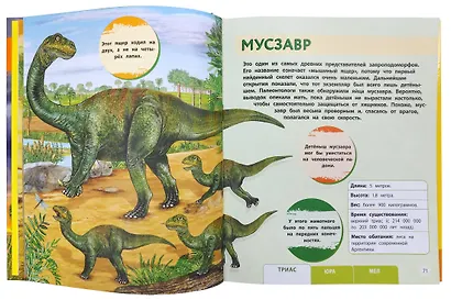 Динозавры. Моя первая большая энциклопедия - фото 4