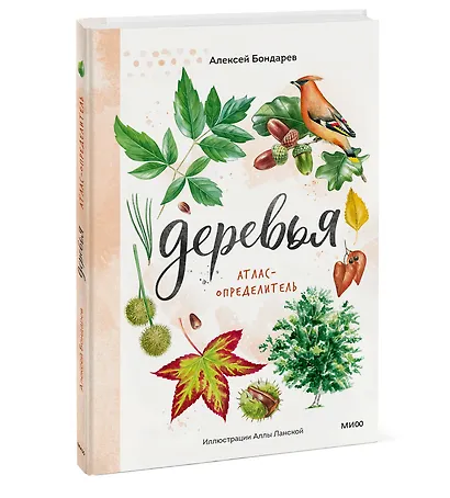 Деревья. Атлас-определитель - фото 3