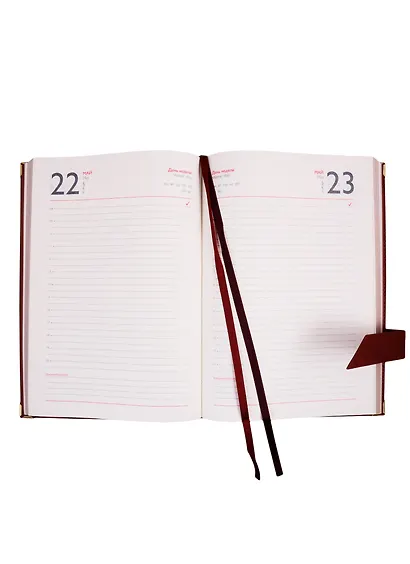 Ежедневник полудат. А5+ 192л 175*245 Сариф коричневый, тиснение Герб РФ, кожзам, тв. переплет, поролон, тонир.блок, ляссе - фото 6