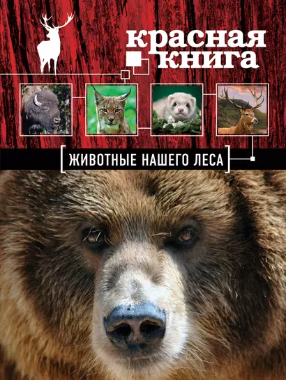 Красная книга. Животые нашего леса - фото 1