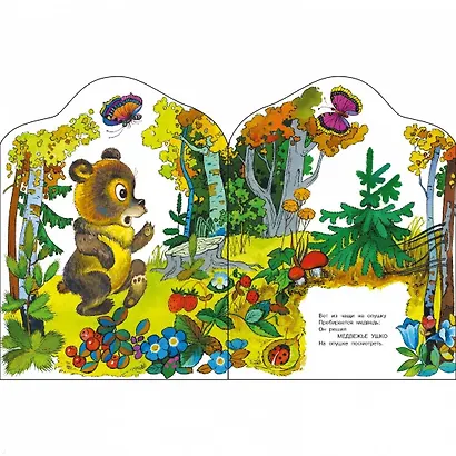 Зеленая аптека - фото 3