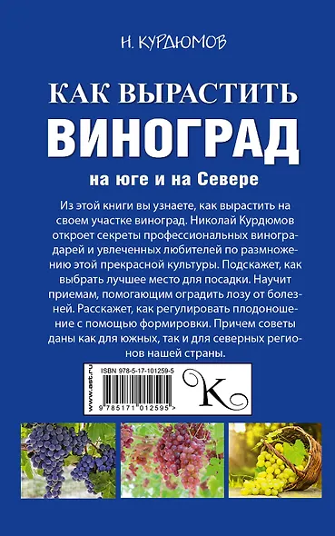Как вырастить виноград на Юге и на Севере - фото 2