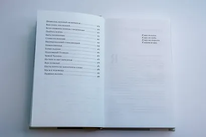 Бессмертная стрекоза - фото 10