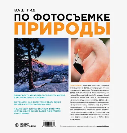 Ваш гид по фотосъемке природы - фото 2