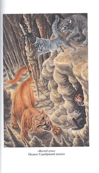 Коты-воители. Золотая коллекция. Полночь. Восход луны - фото 10