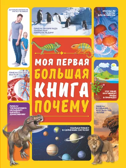 Моя первая большая книга ПОЧЕМУ - фото 1