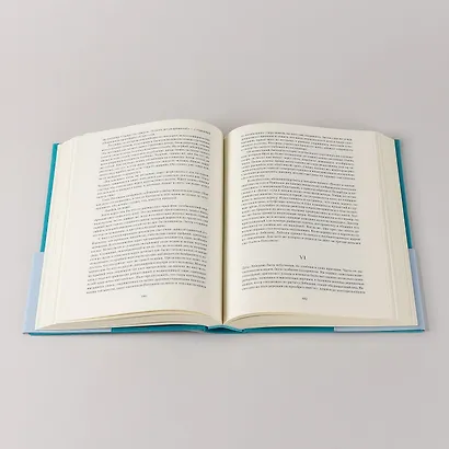 Идиот - фото 15