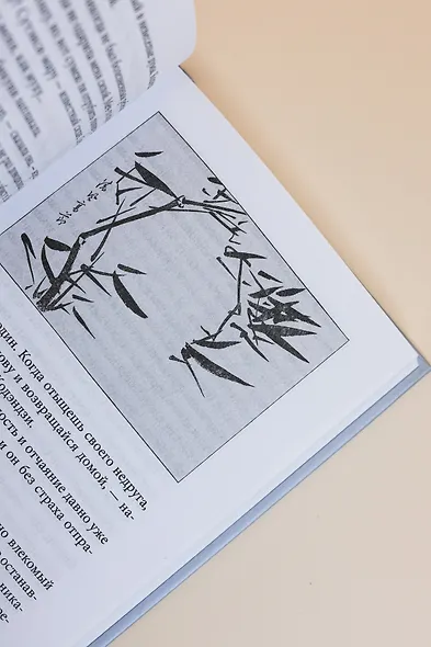 Сказки весеннего дождя. Повесть Западных гор - фото 13