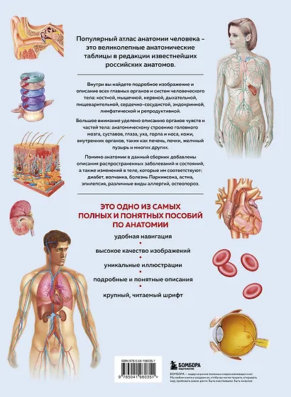 Анатомия человека. Популярный атлас. Самые подробные анатомические изображения - фото 2